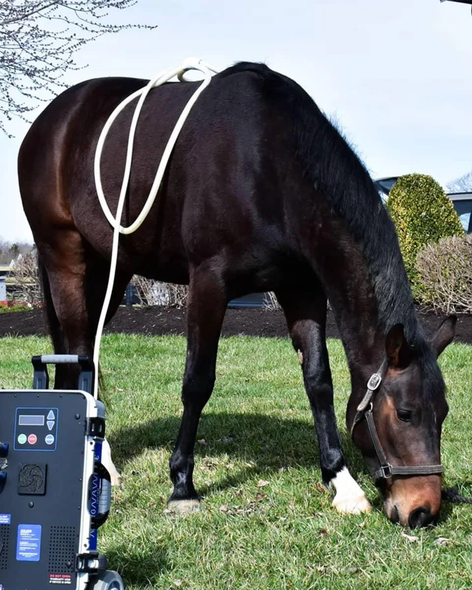 MagnaWave XL Wave Wings - Image 3